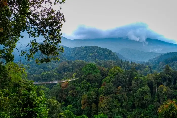 Aktivitas Seru di Situ Gunung Sukabumi