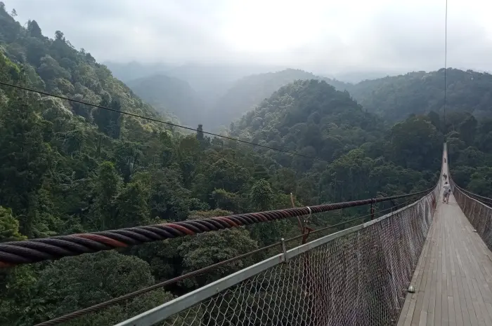 Daya Tarik Utama Situ Gunung Sukabumi